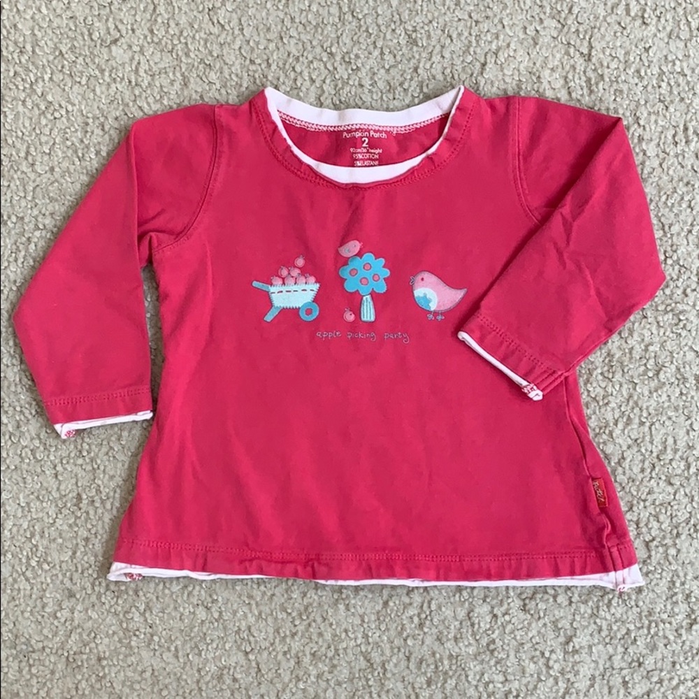 Pumpkin Patch Pink Long sleeves Shirt 2T